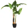 Image de But Bananier artificiel en pot - Vert