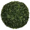Image de Bola de boj D36 cm - Vert