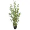 Image de But Bambou Vert