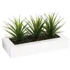Image de Centro de Mesa 3 Aloe Vera - 17 cm Atmosphera