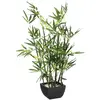Image de Atmosphera Bambou H.70 cm