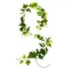 Image de Guirlande Déco Lierre - 190 cm