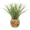 Image de But Herbe pot tressé