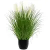 Image de Atmosphera Bunch Herbe en Pot Plastique