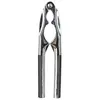 Image de Casse-Noix en Métal Solomon 16cm Argent