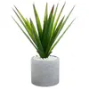 Image de Atmosphera Aloe Vera - H. 49 cm