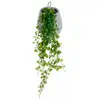 Image de Plante Artificielle Lierre