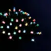 Image de Guirlande Solaire 5m - Multicolore