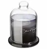 Image de Loyd - Transparent