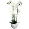 Image de Composition Florale & Vase Orchidée 53cm Blanc
