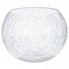 Image de Vase boule en verre craquelé - Transparent