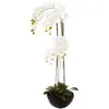 Image de Orchidée artificielle 110 cm