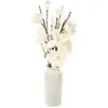 Image de Atmosphera Composition magnolia en vase - Blanc