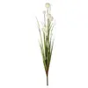 Image de Plantes artificielles FLEURS ROSEAU Ivoire