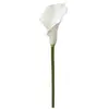 Image de Tige AROME H. 75 cm - Ivoire - But