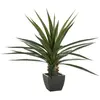 Image de Atmosphera Pot pour succulente