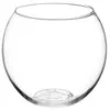 Image de Vase boule en verre - Transparent