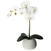 Image de Orchidée Artificielle 53 cm - Grise