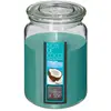 Image de Bougie Parfumée en Verre Couvercle 510g Coco