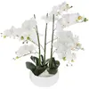 Image de ATMOSPHERA Orchidée en pot H. 65 cm blanc