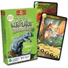 Image de Bioviva Défis Nature Dinosaures 2 - 36 cartes - Vert