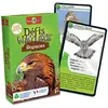 Image de Defis nature rapaces Bioviva