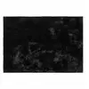 Image de Paris prix Feline - 120x170 cm - Noir