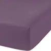 Image de Drap housse 90x190cm 100%coton figue