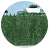 Image de Jet7garden Brise vue 100 x 300 cm