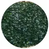 Image de Jet7garden PVC vert 1.5 x 3 m