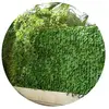 Image de Jet7garden Brise vue 1 x 3 m