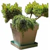 Image de Riviera Soleilla bac carré - Ø49 cm - Plastique
