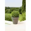 Image de Riviera 414076 - Ø39,2 cm - Couleur assortie