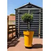 Image de Bac a fleurs RIVIERA SOLEILLA - Plastique - Hauteur 53 cm - Jaune