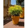 Image de Pot Riviera Jaune Ø 60 cm