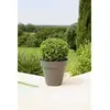 Image de Riviera pot de fleurs rond - Gris