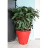 Image de Riviera Pot de fleurs cylindrique - Rouge
