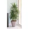Image de Riviera Pot de fleurs Loft Ø 50 cm - Taupe