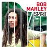 Image de Spirit Of Bob Marley