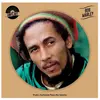 Image de Bob Marley Picture Disc