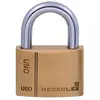 Image de I-CAD60MV Cadenas 60 mm laiton