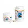 Image de Flexadin Anti-Arthrose 30 Comprimés