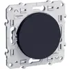 Image de Schneider electric Odace S540204 - Anthracite