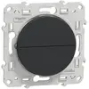 Image de Schneider electric Odace S540207 - Anthracite