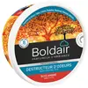 Image de BOLDAIR GEL DESTRUCT.ODEUR 300G AMBRE BOLDAIR - PV56076301