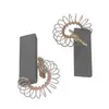 Image de Bosch Charbons moteur pour lave-linge