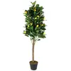 Image de Homedeco Citronnier artificiel - 120 cm