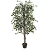 Image de Plante artificielle feuillage - 160 cm
