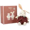 Image de bulle d amour lapin canelle