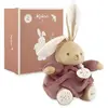 Image de Patapouf le lapin bordeaux musical